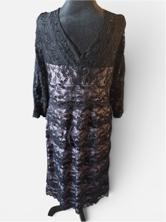 Colleen Lopez Dresses & Skirts - NWOT Colleen Lopez "My Favorite Things" Black Lace Dress - Size 16
